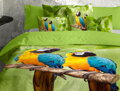 Detské bavlnené obliečky s papagájom plné farieb vyrobené zo 100% bavlny.